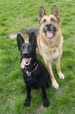 Axinka náš nový přírůstek do rodiny a Roneček